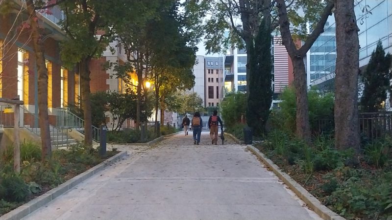  - MOE des espaces extérieurs de l’Institut Pasteur à PARIS, France