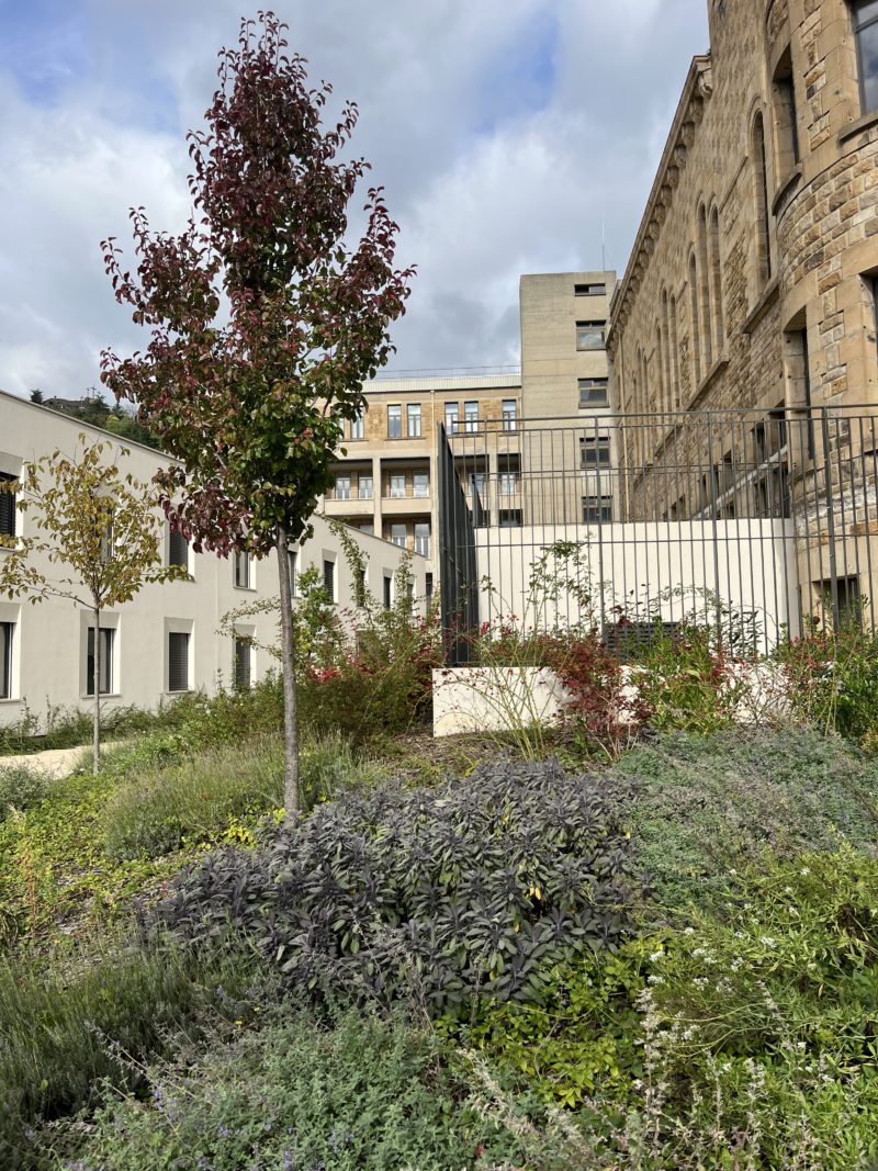   - Centre Hospitalier de Sainte-Marie à PRIVAS, France
